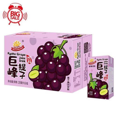 24x250ml Mr. Sunshine Grape Juice Drink