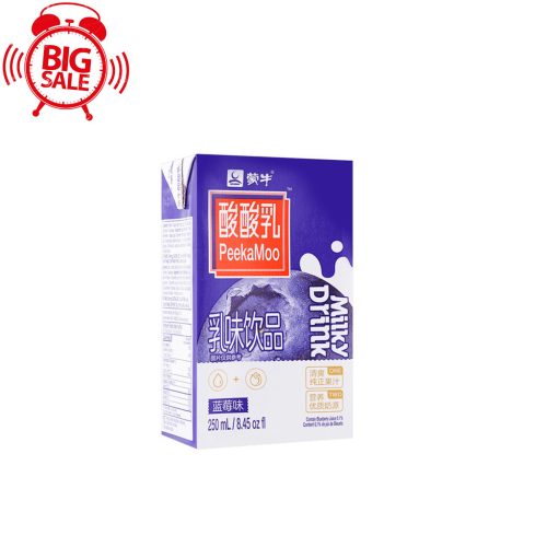 24x250ML Mengniu Blueberry Yogurt